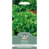 Mr. Fothergill's Lettuce Salad Bowl (Lactuca Sativa) Seeds -Elise Bloom 12810695 4514831881689049
