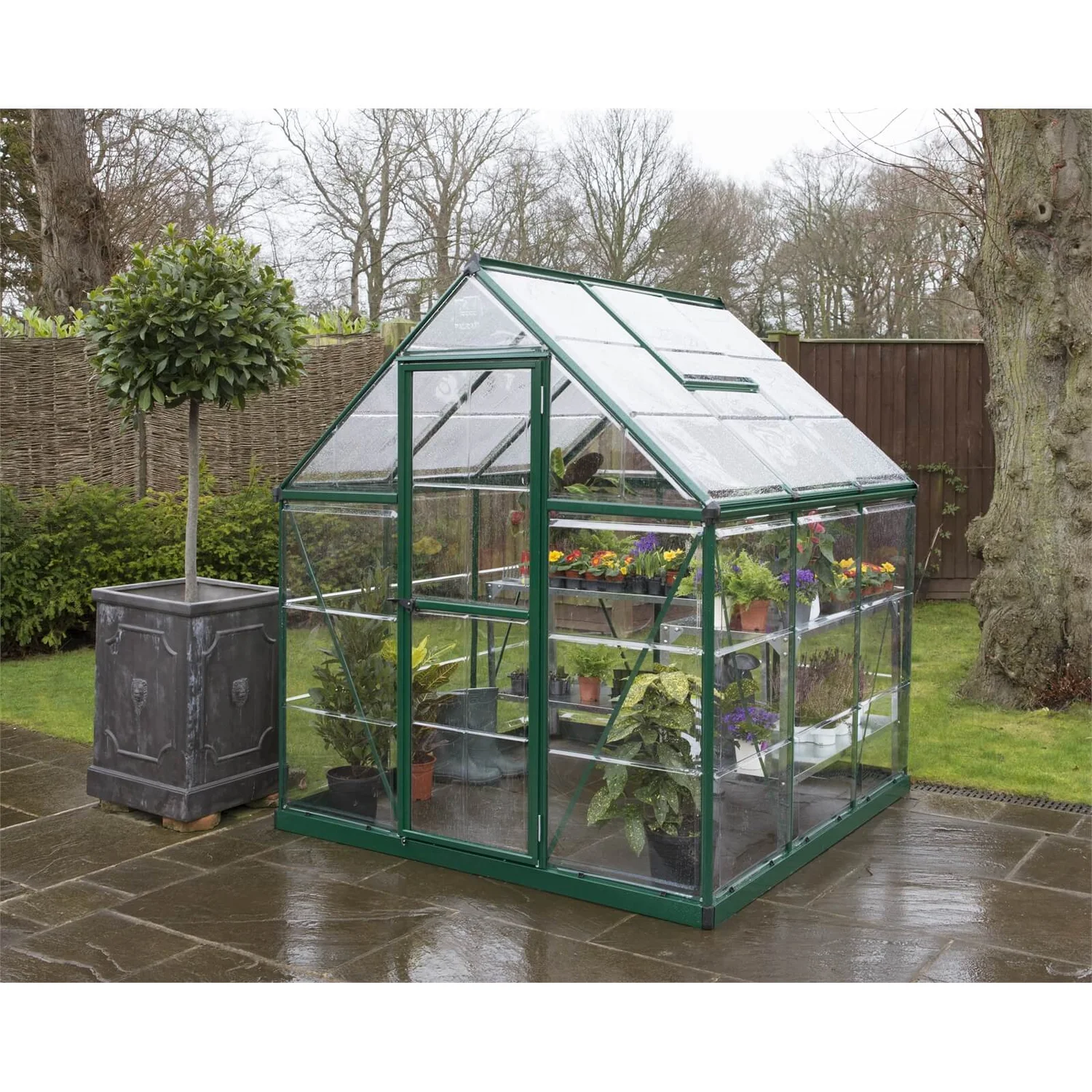 Palram 6 X 6ft Canopia Harmony Greenhouse - Green 5 Palram 6 X 6ft Canopia Harmony Greenhouse - Green - Image 3