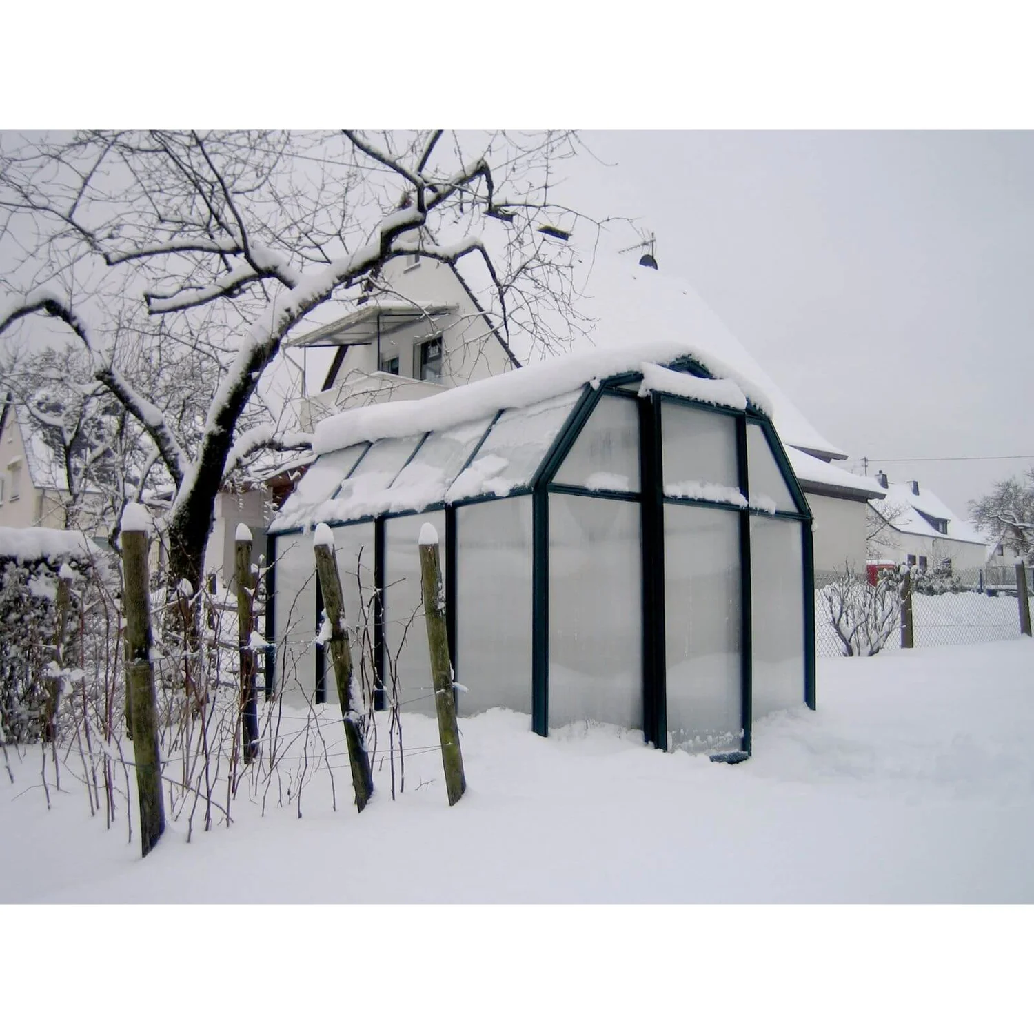 Palram 6 X 8ft Canopia Eco Grow Greenhouse - Green 11 Palram 6 X 8ft Canopia Eco Grow Greenhouse - Green - Image 9