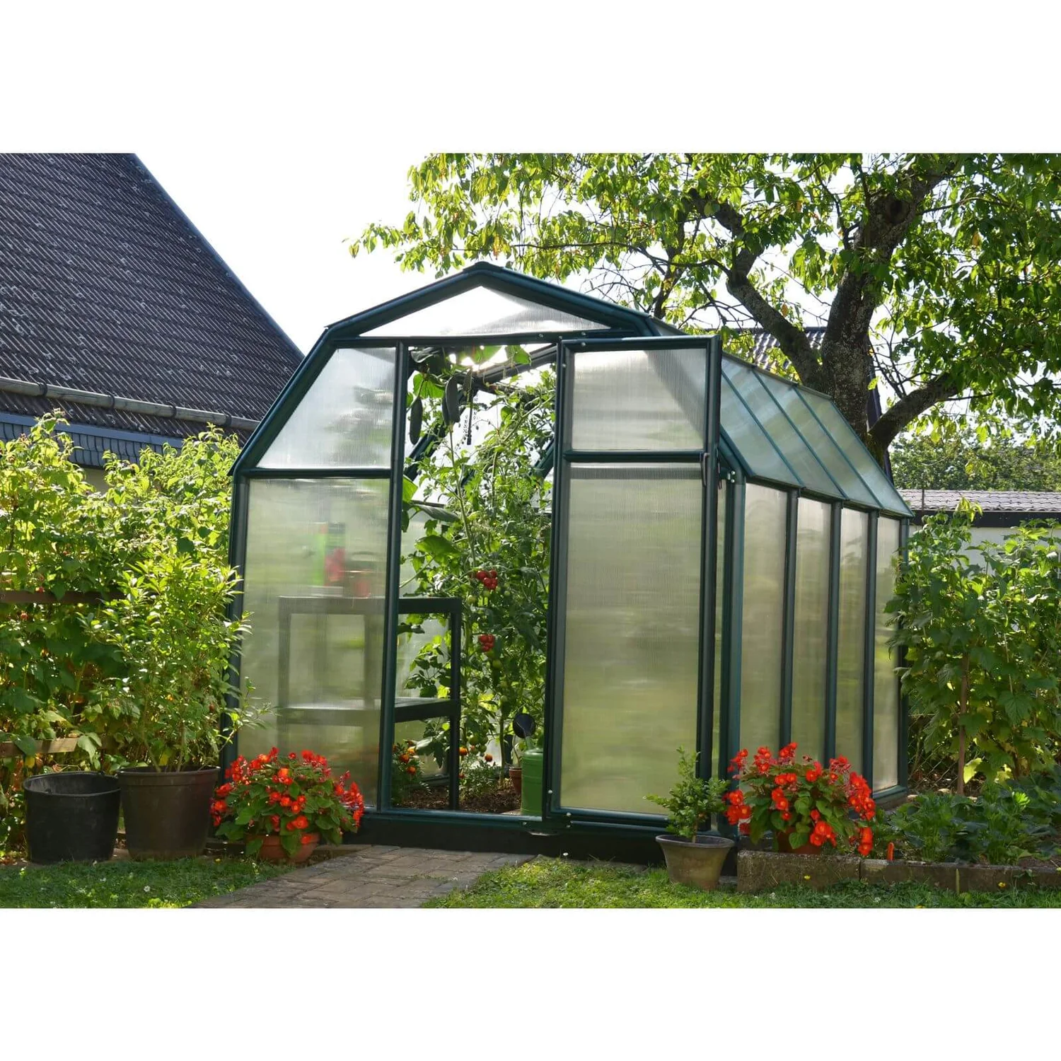 Palram 6 X 8ft Canopia Eco Grow Greenhouse - Green 6 Palram 6 X 8ft Canopia Eco Grow Greenhouse - Green - Image 4