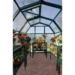 Palram 6 X 6ft Canopia Eco Grow Greenhouse - Green 13 Palram 6 X 6ft Canopia Eco Grow Greenhouse - Green -Elise Bloom 12810863 1944833197156811