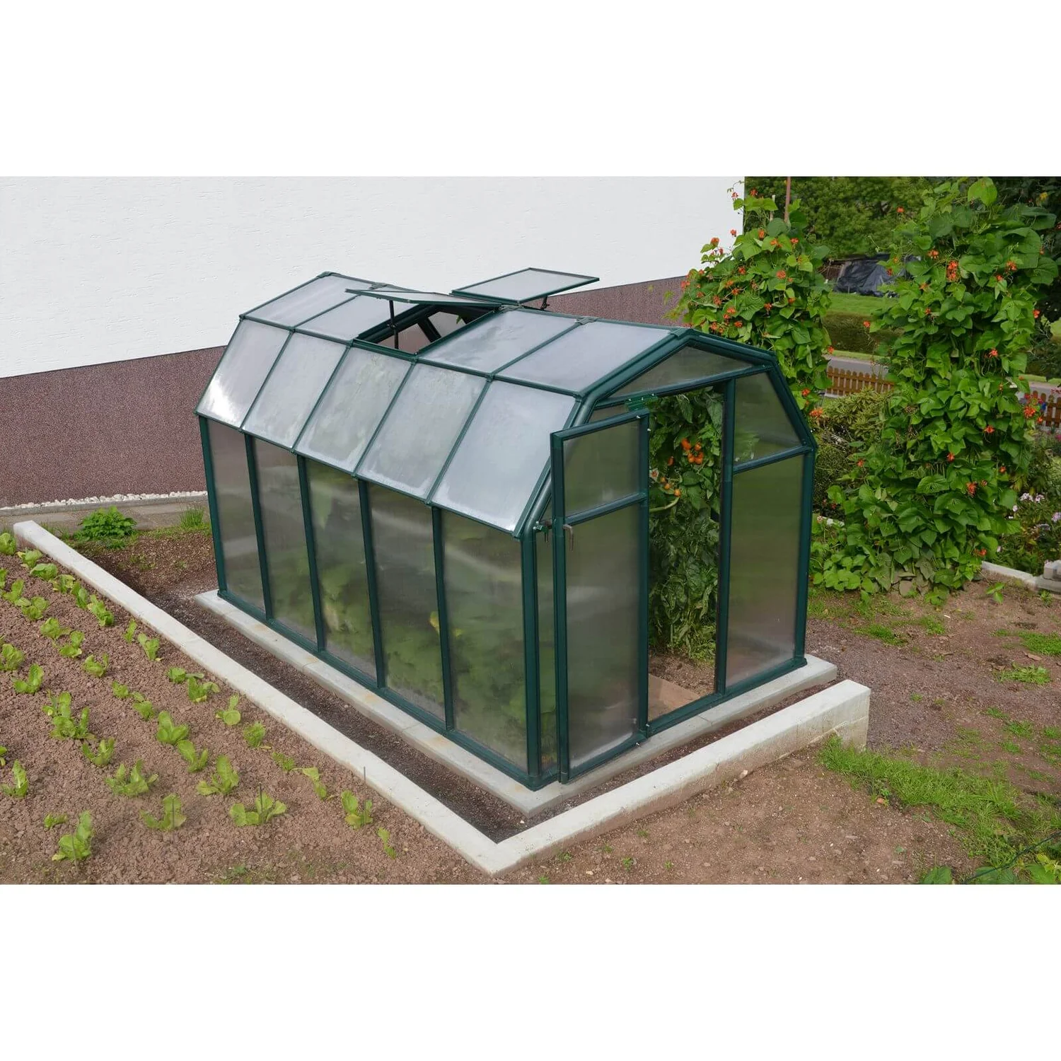 Palram 6 X 10ft Canopia Eco Grow Greenhouse - Green 5 Palram 6 X 10ft Canopia Eco Grow Greenhouse - Green - Image 3