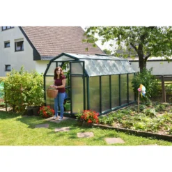 Palram 6 X 10ft Canopia Eco Grow Greenhouse - Green 14 Palram 6 X 10ft Canopia Eco Grow Greenhouse - Green -Elise Bloom 12810957 3944833194707002