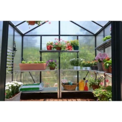 Palram 8 X 16ft Canopia Glory Greenhouse - Grey -Elise Bloom 12811088 9734833202517748