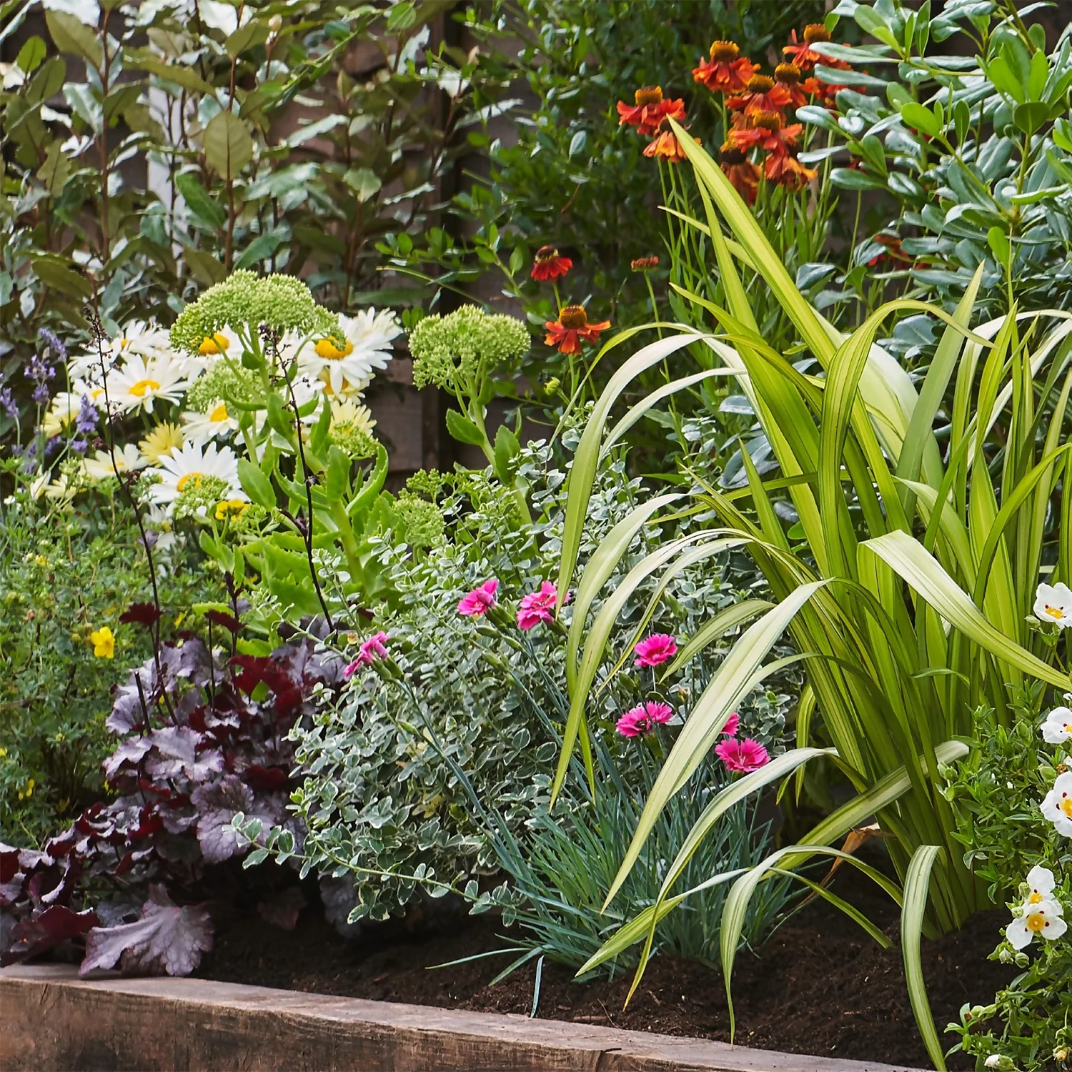 Sunny Border Collection - 3m X 90cm 6 Sunny Border Collection - 3m X 90cm - Image 4