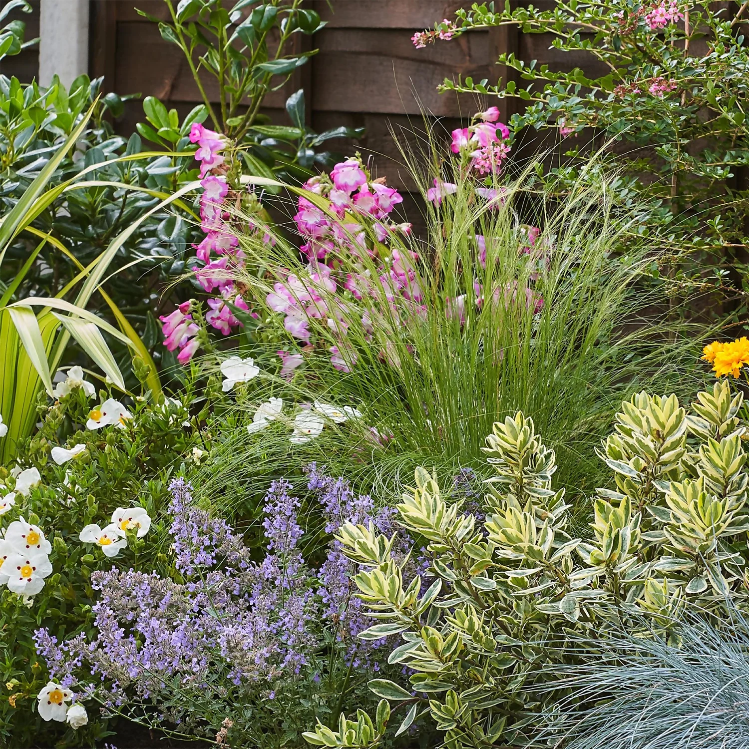 Sunny Border Collection - 3m X 90cm 7 Sunny Border Collection - 3m X 90cm - Image 5