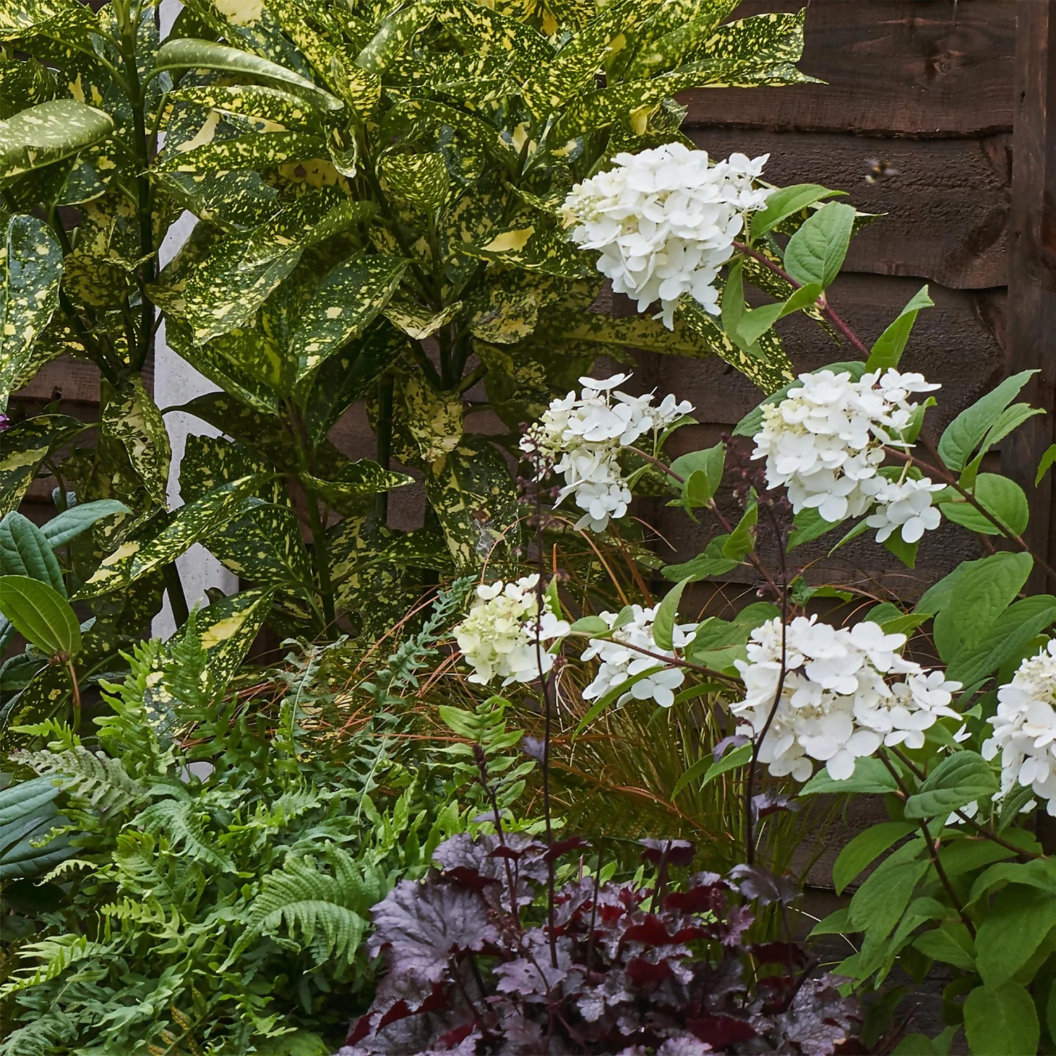 Shady Border Collection - 10m X 60cm 8 Shady Border Collection - 10m X 60cm - Image 6