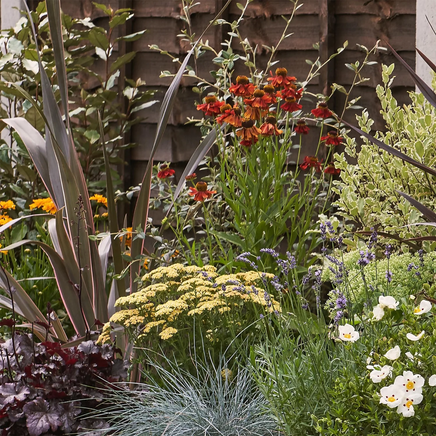 Mediterranean Border Collection - 9m X 60cm 6 Mediterranean Border Collection - 9m X 60cm - Image 4