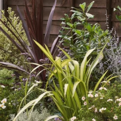 Mediterranean Border Collection - 6m X 90cm -Elise Bloom 12811491 1295027868451413