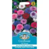 Mr. Fothergill's Cornflower Tall Mixed (Centaurea Cyanus) Seeds -Elise Bloom 12811553 7354831917689148