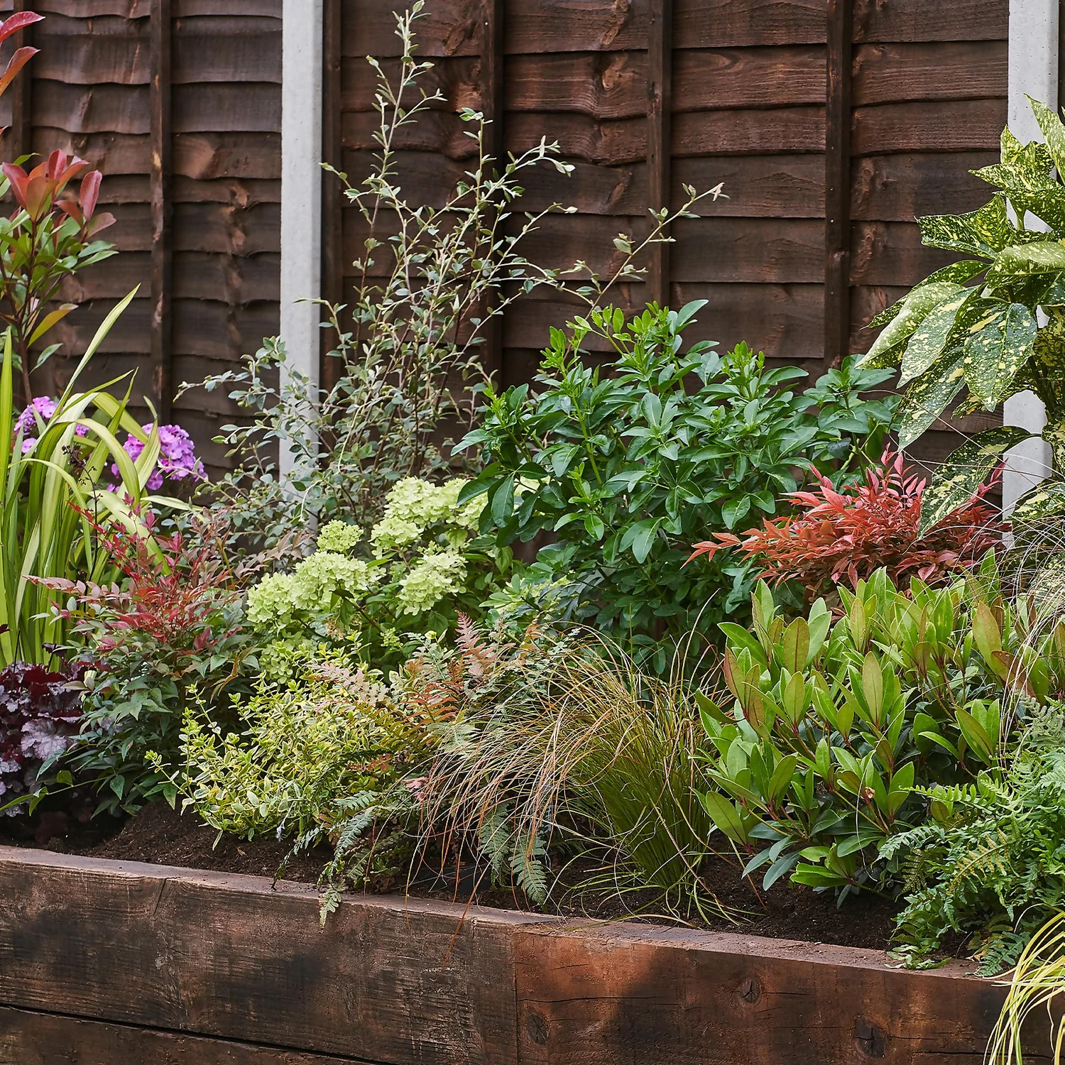 Evergreen Border Collection - 7m X 90cm 3 Evergreen Border Collection - 7m X 90cm