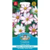 Mr. Fothergill's Cosmos Candy Stripe Seeds -Elise Bloom 12811807 2834831967075664