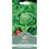 Mr. Fothergill's Lettuce Webbs Wonderful (Lactuca Sativa) Seeds -Elise Bloom 12811813 8284831964310219