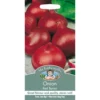 Mr. Fothergill's Onion Red Baron (Allium Cepa) Bulbs -Elise Bloom 12812264 6214831432107876