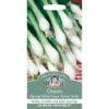 Mr. Fothergill's Spring Onion White Lisbon Winter Hardy (Allium Cepa) Bulbs 1 Mr. Fothergill's Spring Onion White Lisbon Winter Hardy (Allium Cepa) Bulbs -Elise Bloom 12813012 9634831907224011