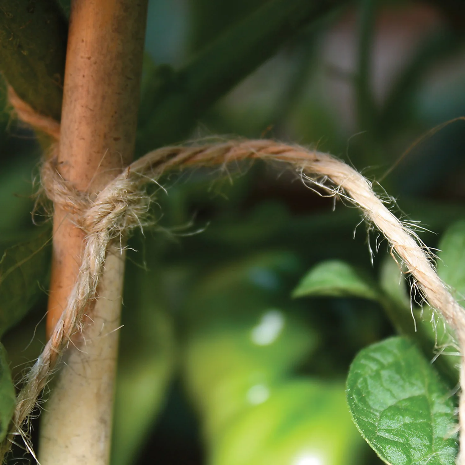 Tildenet Growers Choice Natural Jute Garden Twine - 110m 4 Tildenet Growers Choice Natural Jute Garden Twine - 110m - Image 2