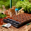 Seed And Cutting Tray - 40 Pots 1 Seed And Cutting Tray - 40 Pots -Elise Bloom 12813210 1315062013369640