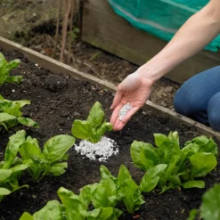 Ecofective Natural Slug Defence - 2L 9 Ecofective Natural Slug Defence - 2L -Elise Bloom 12814540 2134833194077626