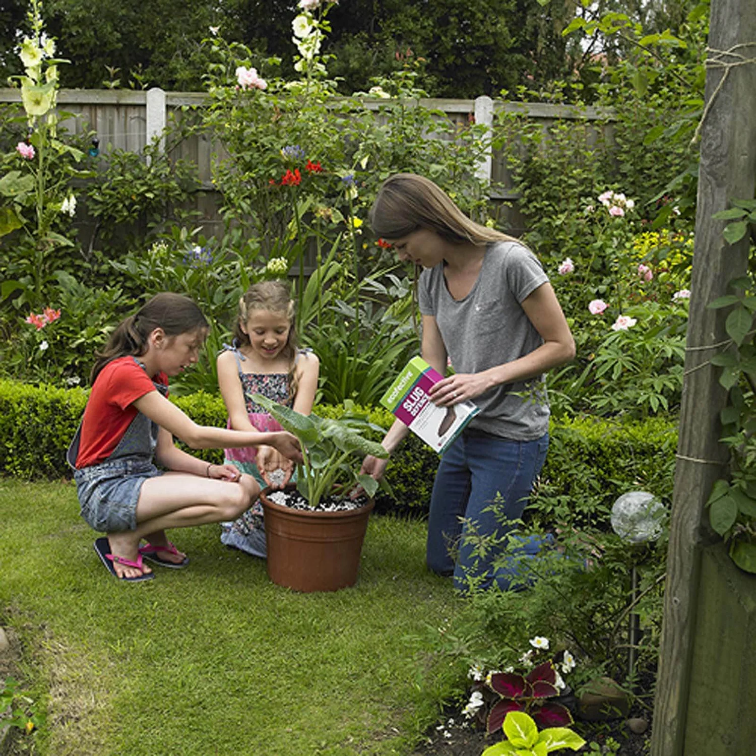 Ecofective Natural Slug Defence - 2L 5 Ecofective Natural Slug Defence - 2L - Image 3