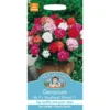 Mr. Fothergill's Geranium Mophead Selection Mixed F1 (Pelargonium Zonale) Seeds -Elise Bloom 12814967 2024831945554066