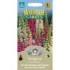 Mr. Fothergill's Foxglove Foxy Mixed (Digitalis Purpurea) Seeds -Elise Bloom 12815059 1274831958518431