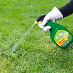 Weedol Gun! Lawn Ready To Use Weedkiller - 800ml -Elise Bloom 12815641 1794833199048377