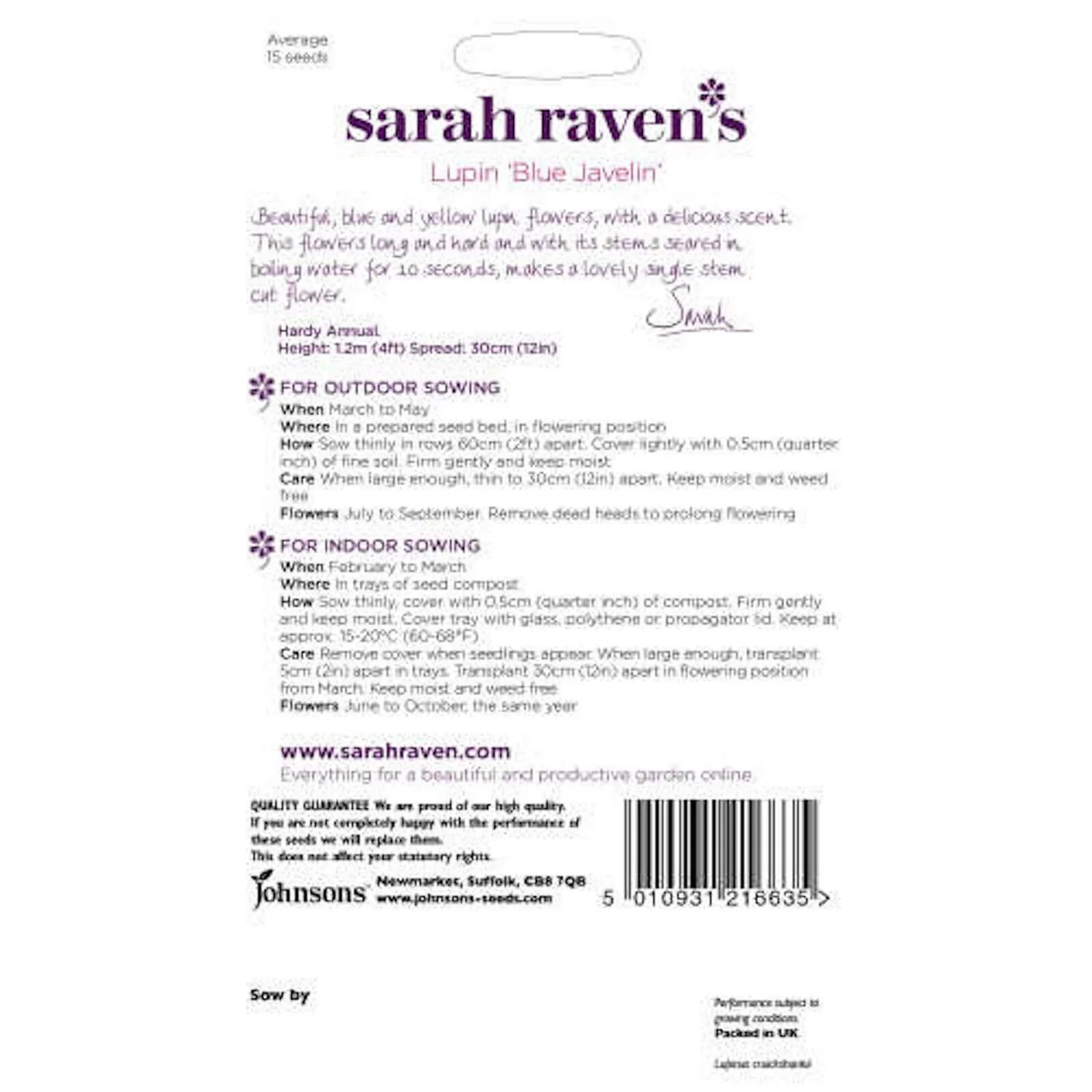 Lupin Blue Javelin Seeds 4 Lupin Blue Javelin Seeds - Image 2