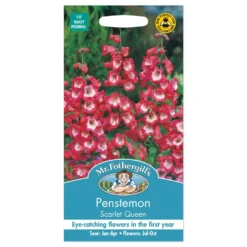 Mr. Fothergill's Penstemon Scarlet Queen Seeds
