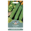 Mr. Fothergill's Courgette Romanesco Seeds 1 Mr. Fothergill's Courgette Romanesco Seeds -Elise Bloom 12815901 1994831955612253