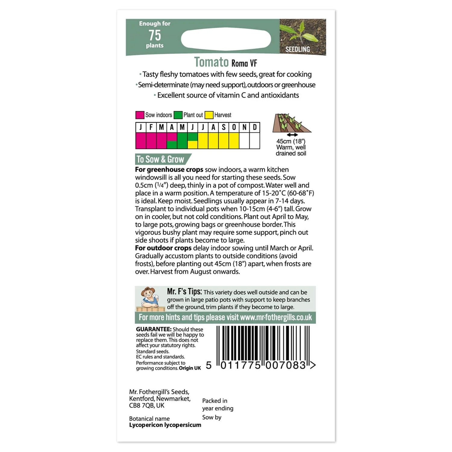 Mr. Fothergill's Tomato Roma VF Seeds 4 Mr. Fothergill's Tomato Roma VF Seeds - Image 2