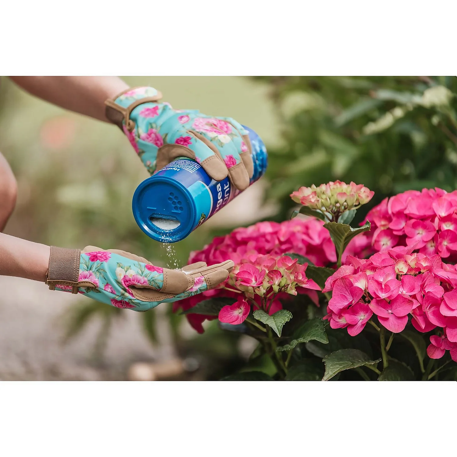 Westland Hydrangea Colourant - 500g 5 Westland Hydrangea Colourant - 500g - Image 3