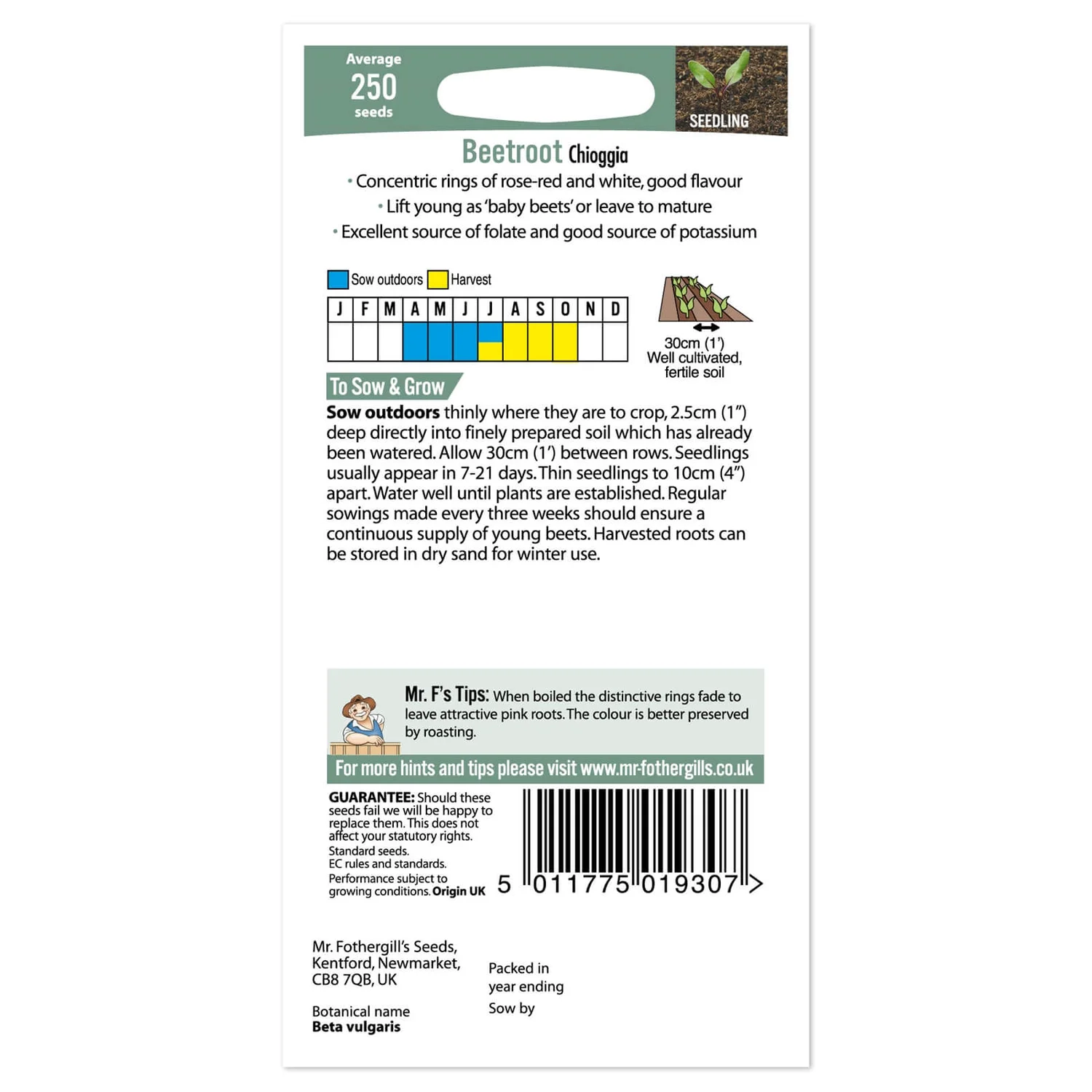 Mr. Fothergill's Beetroot Chioggia Seeds 4 Mr. Fothergill's Beetroot Chioggia Seeds - Image 2