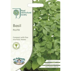 RHS Basil Pluto Seeds