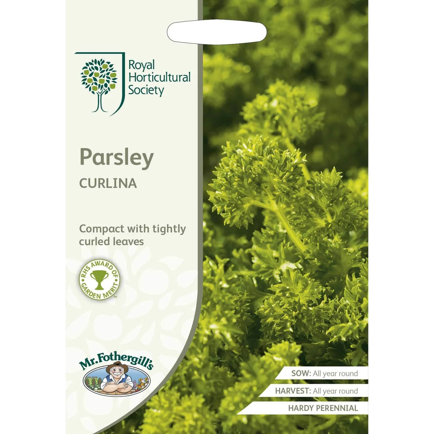 RHS Parsley Curlina Seeds 3 RHS Parsley Curlina Seeds