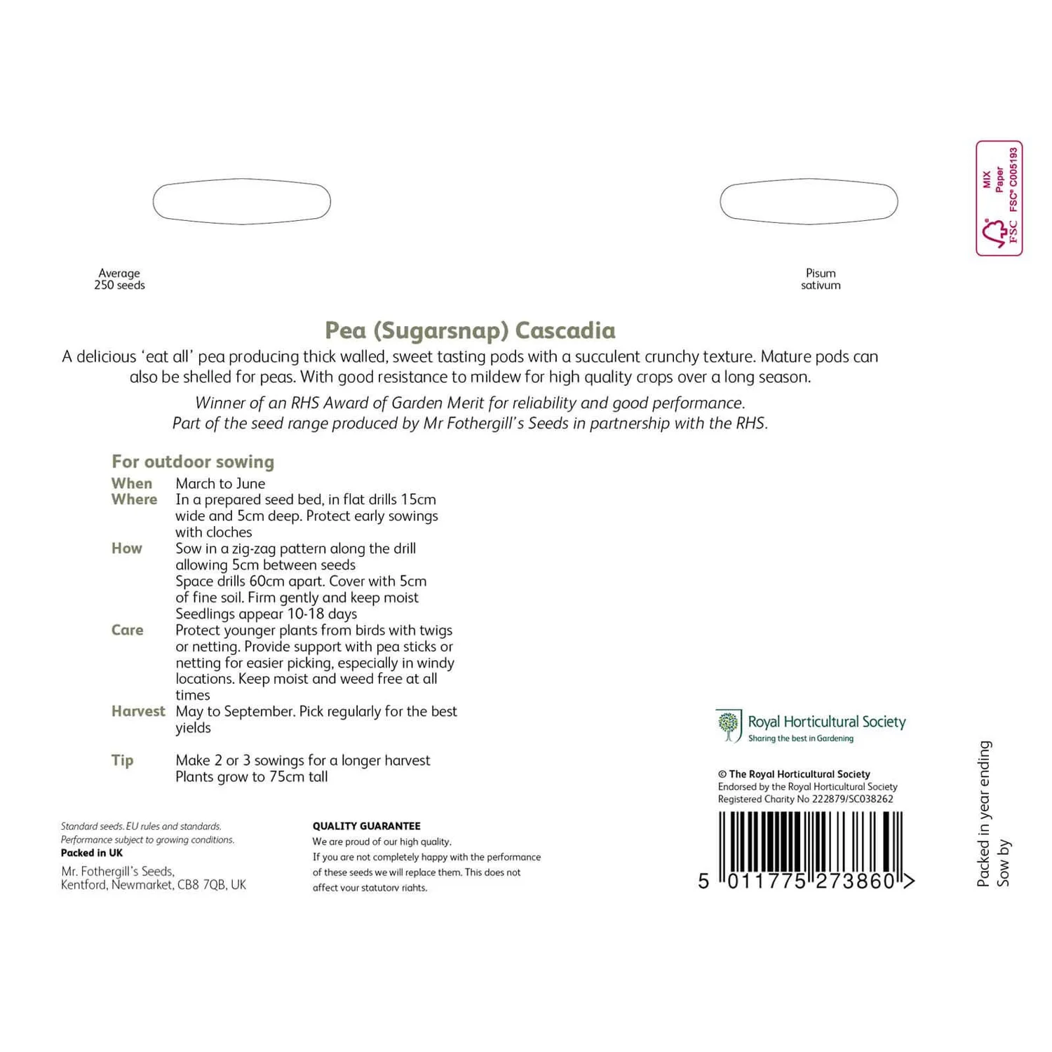 RHS Pea (Sugarsnap) Cascadia Seeds 4 RHS Pea (Sugarsnap) Cascadia Seeds - Image 2