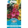 Mr. Fothergill's Hollyhock Giant Single Mixed (Alcea Rosea) Seeds -Elise Bloom 12818836 1664831960813749