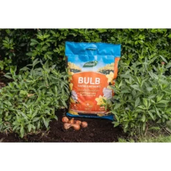 Westland Bulb Planting Compost - 20L 8 Westland Bulb Planting Compost - 20L -Elise Bloom 12819355 5674869971344392