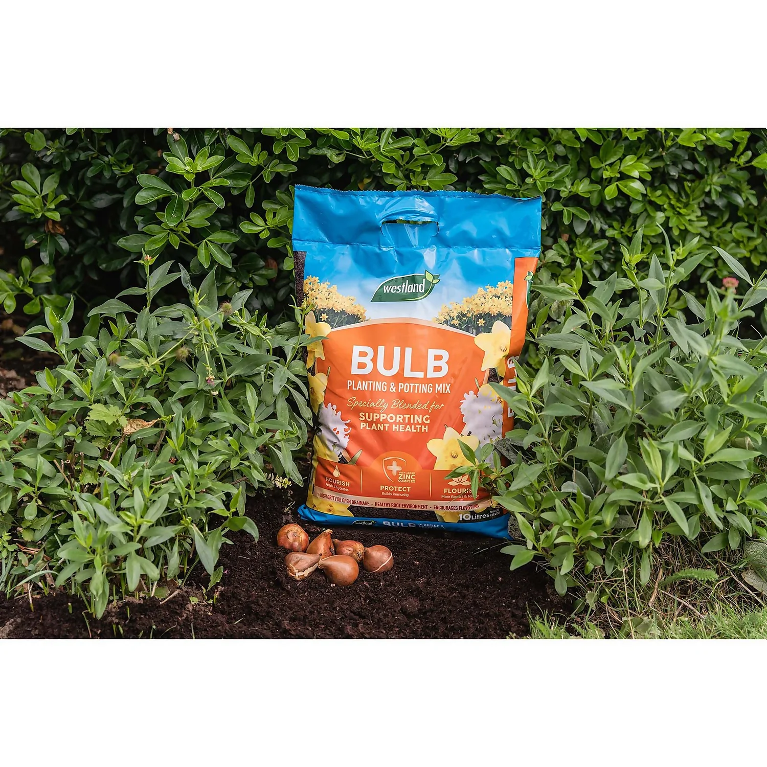 Westland Bulb Planting Compost - 20L 5 Westland Bulb Planting Compost - 20L - Image 3
