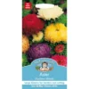 Mr. Fothergill's Aster Duchess Mixed Seeds -Elise Bloom 12819849 1064831940406666