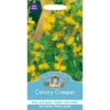 Mr. Fothergill's Canary Creeper Seeds 2 Mr. Fothergill's Canary Creeper Seeds -Elise Bloom 12819854 1564831968789252