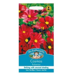 Mr. Fothergill's Cosmos Rubenza Seeds
