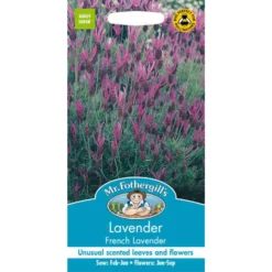 Mr. Fothergill's Lavender French Lavender Seeds