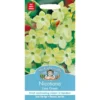 Mr. Fothergill's Nicotiana Lime Green Seeds -Elise Bloom 12819970 1714831956114300