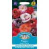 Mr. Fothergill's Poppy Dawn Chorus Seeds 2 Mr. Fothergill's Poppy Dawn Chorus Seeds -Elise Bloom 12819971 4064831951721304