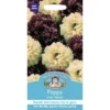 Mr. Fothergill's Poppy Irish Velvet Seeds -Elise Bloom 12819972 2044831951668582