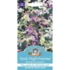 Mr. Fothergill's Stock Night Scented Starlight Scentsation Seeds -Elise Bloom 12819975 3624831951503360
