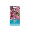 Mr. Fothergill's Sweet Pea Pandemonium Seeds 1 Mr. Fothergill's Sweet Pea Pandemonium Seeds -Elise Bloom 12820103 1544846167958095