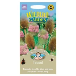 Mr. Fothergill's Teasel Seeds