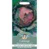 Mr. Fothergill's Cabbage Savoy January King 3 Seeds -Elise Bloom 12820123 1244831962794259