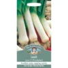 Mr. Fothergill's Leek Lyon 2 (Prizetaker) Vegetable Seeds -Elise Bloom 12820251 1284831946019867